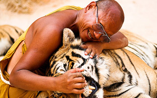 monk and tiger